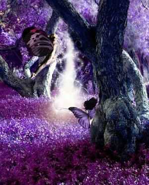 Spring_in_the_enchanted_forest.jpg