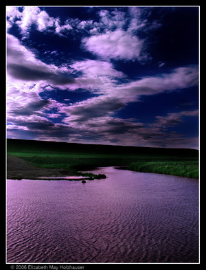 Violet_Moonlight_by_Auriethepixie.jpg
