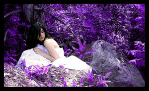 Violet_Dream.jpg