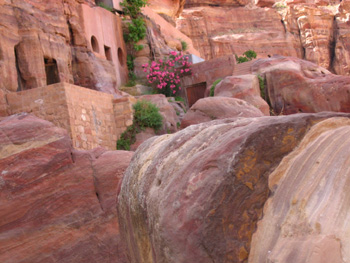 petra.jpg