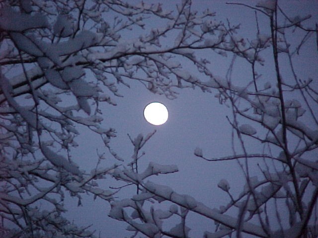 SnowMoon.jpg
