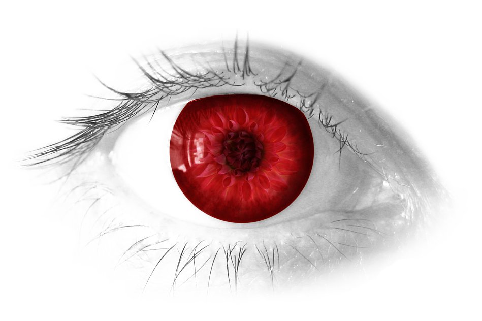 eye.jpg