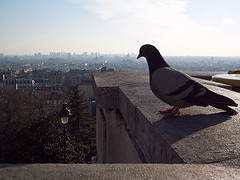 167173227_64e52e3545_m.jpg