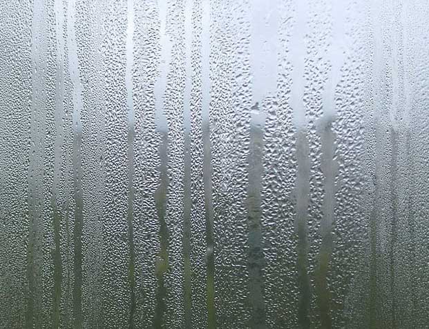 window_800x600.jpg