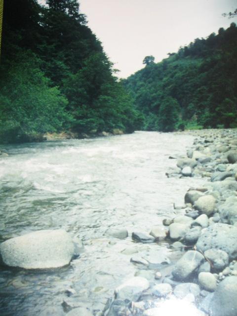 Picture_002.jpg