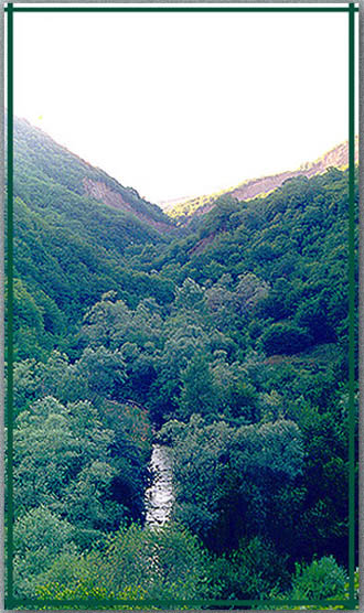 60770_19aa.jpg