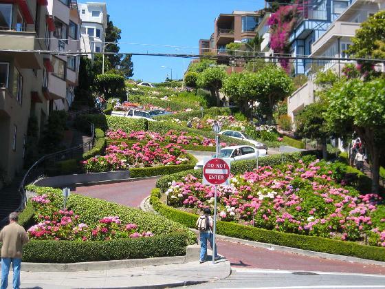 2977368_Travel_Picture_The_flower_street_San_Francisco.jpg