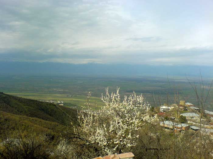 Alaznis_Veli_05.jpg