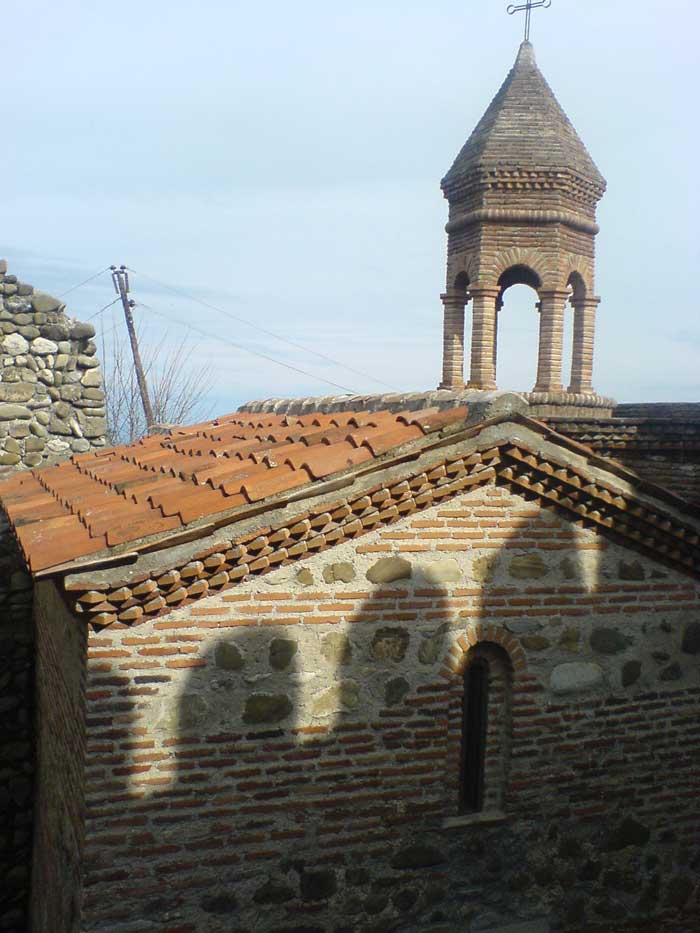 SiRnaRi_07.jpg