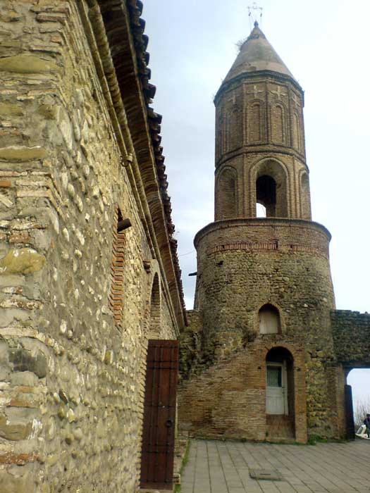 SiRnaRi_Cm_Giorgis_Ekl_02.jpg