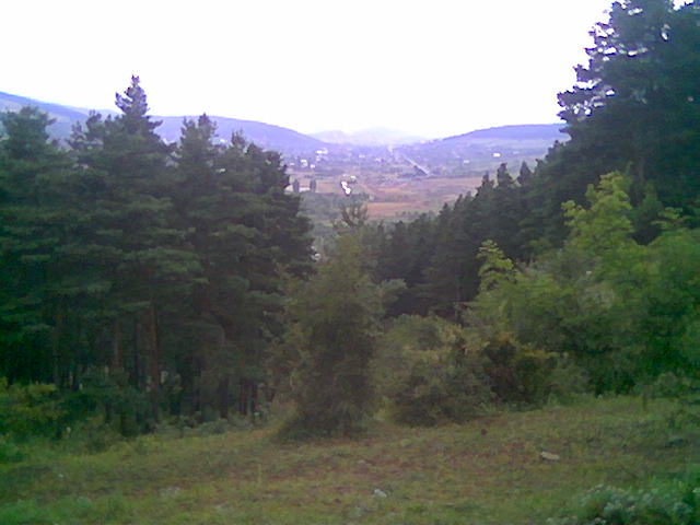 Image019.jpg