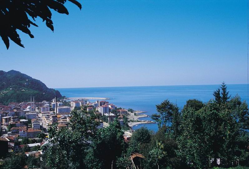 61arhavi.jpg