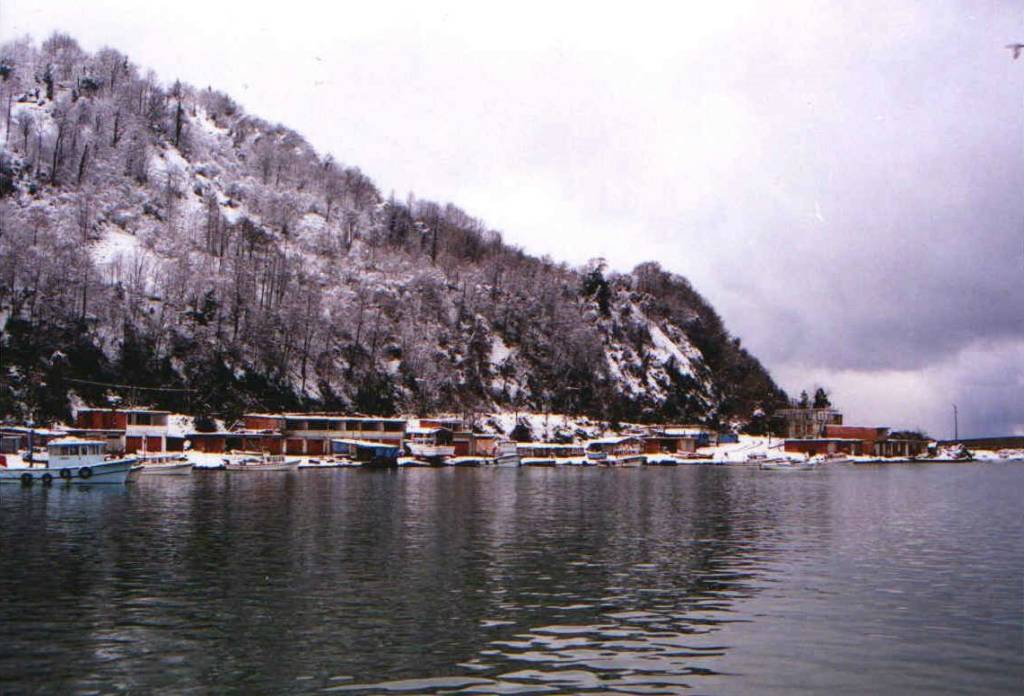 arhavi718cf.jpg