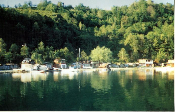pict0001.jpg