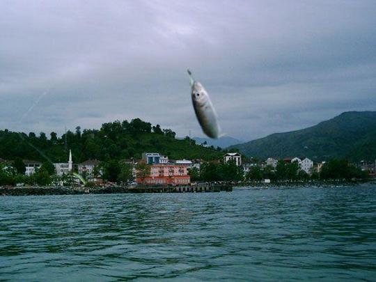 16.JPG
