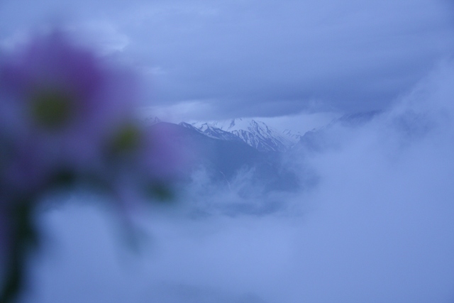 IMG_6695.jpg