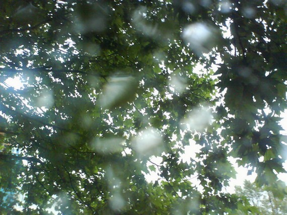 DSC00153.JPG