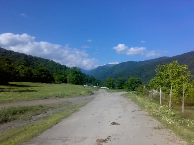 26062008194_001.jpg