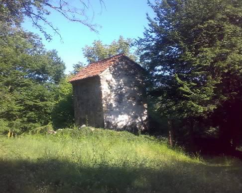 26062008196_001.jpg