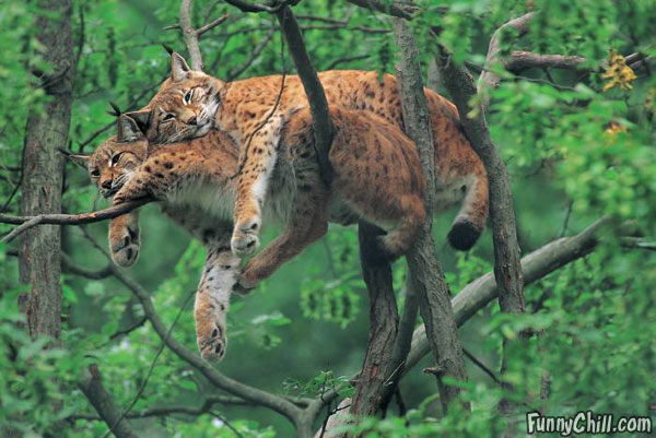 hanging_out.jpg