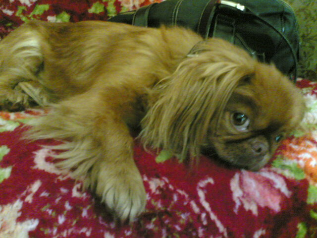 27072006_007_.jpg