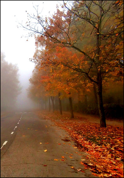 autumn_feeling___XX_by_karil.jpg