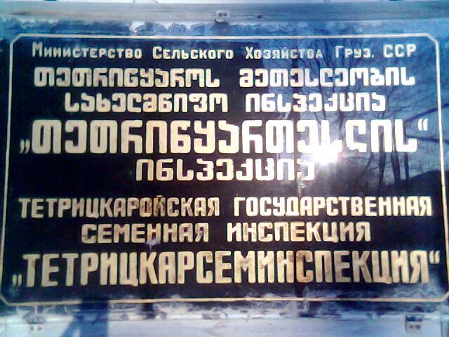 Copy_of_tetricyaro.jpg
