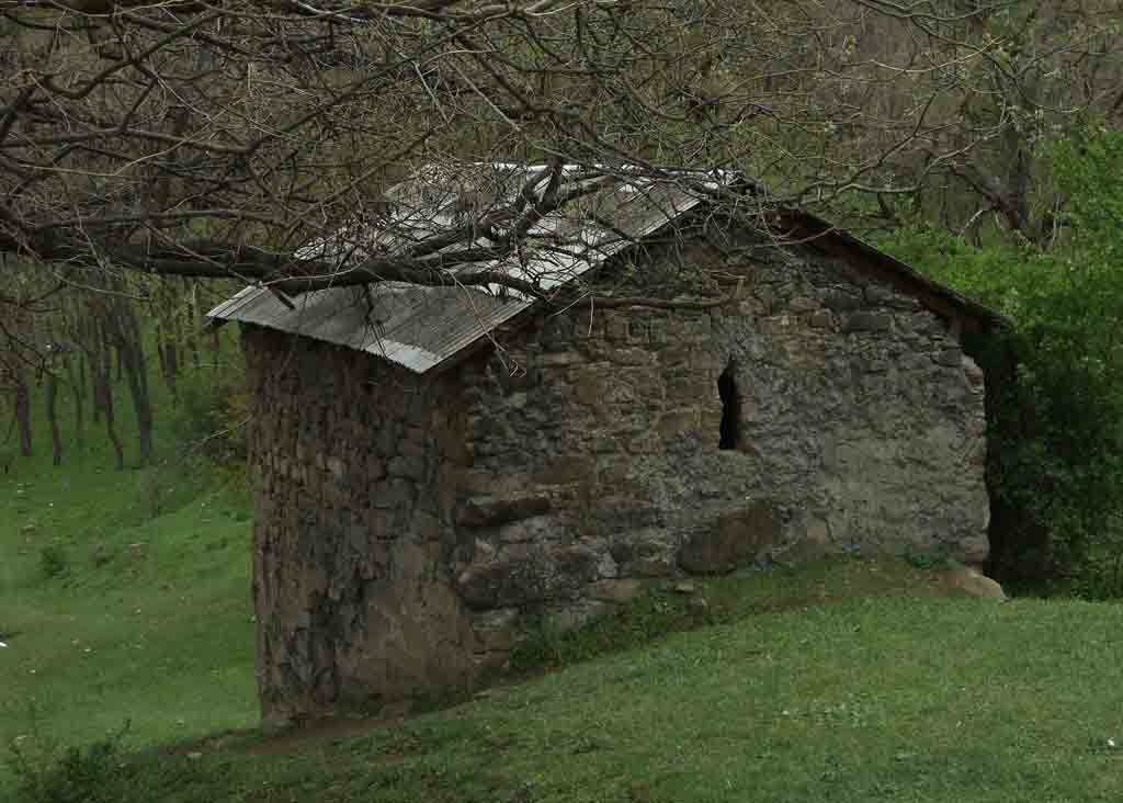DSCF7458.jpg