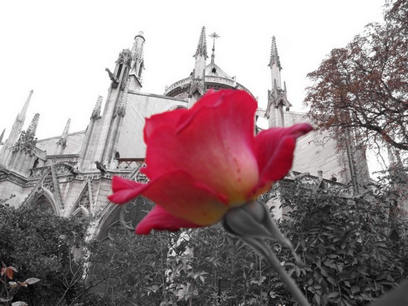 Paris_891.jpg