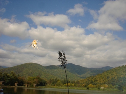 DSC00306.JPG