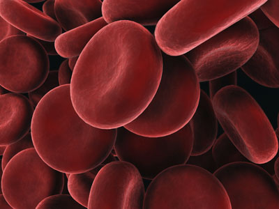 blood_cells.jpg