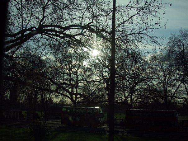 20156_1271835809329_1632909325_653758_80890_n.jpg