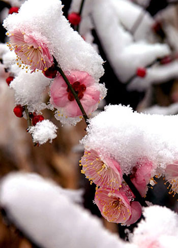 winter1.jpg