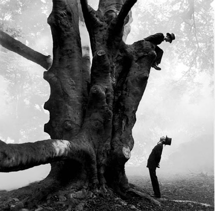 twinsintree.jpg