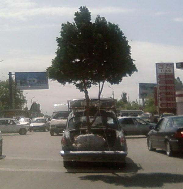 SP_A3645.jpg