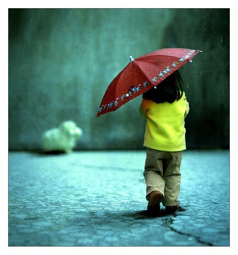 child_girl_kid_rain_umbrella_children_b387c631c804618df784679207dc396e_h.jpg