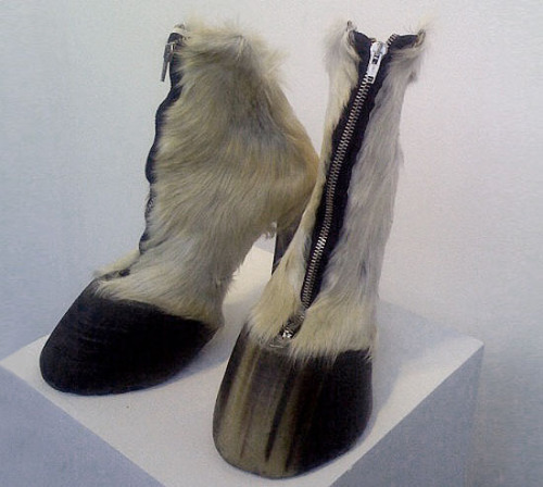 horse_shoes.jpg