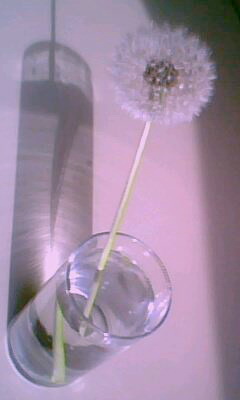 IMG0002A.jpg