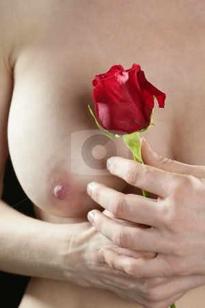 cutcaster_photo_100347485_Beautiful_woman_body_holding_red_rose.jpg