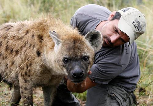 Kevin_Richardson_with_Hyena.jpg