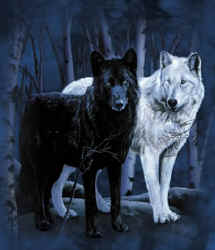 White_Wolf_Black_Wolf.jpeg