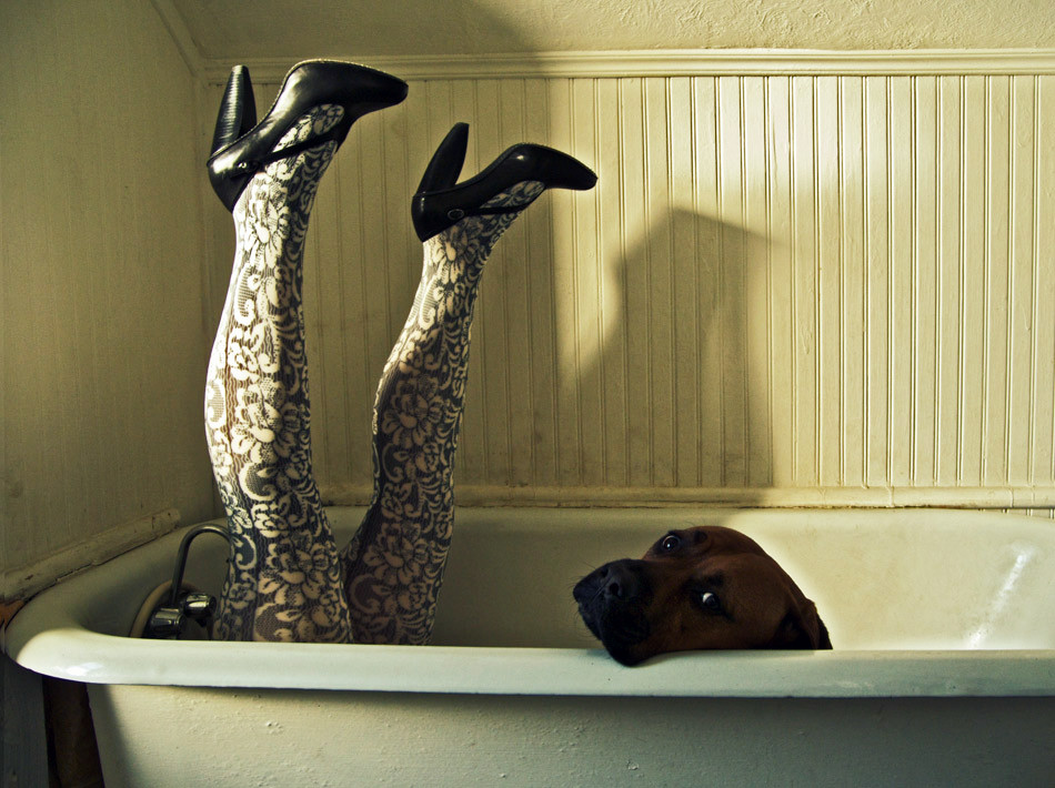 950_legs_dog_bath.jpg