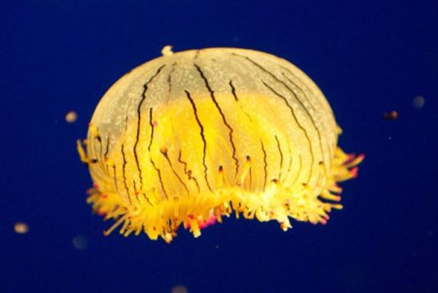 1284144091_1431.jpg
