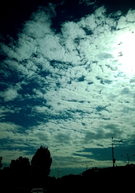 WP_20130919_005.jpg