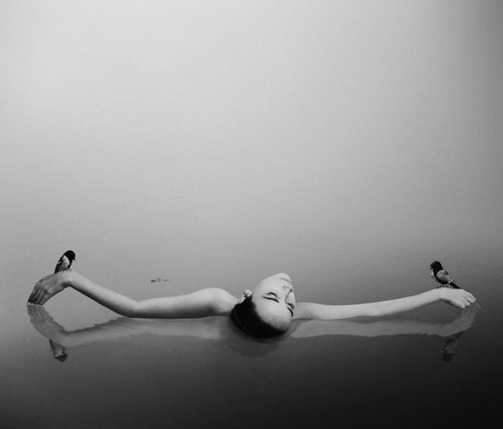 Noell_S_Oszvald8.jpg