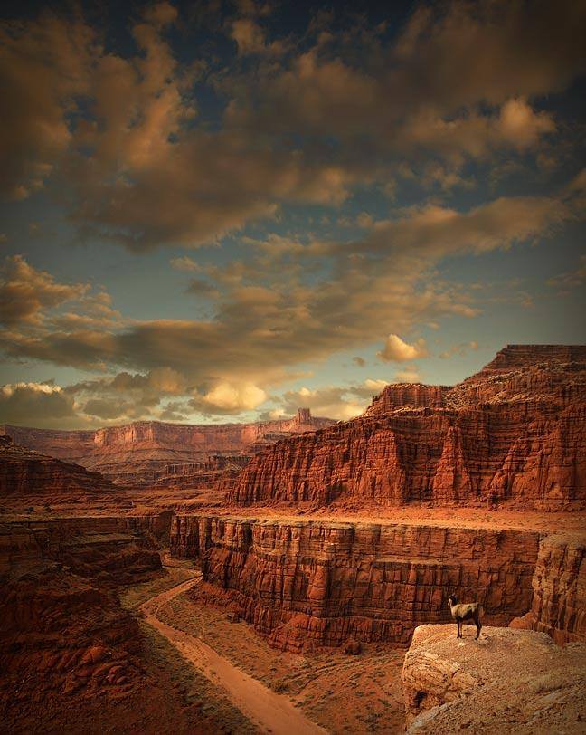 Canyonlands_National_Park.jpg