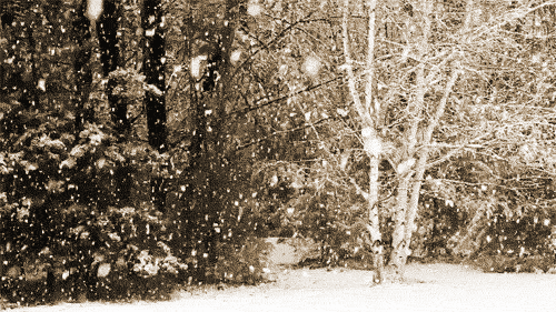 snowfall_2014_winter_christmas_gif_9to5gifs_com.gif