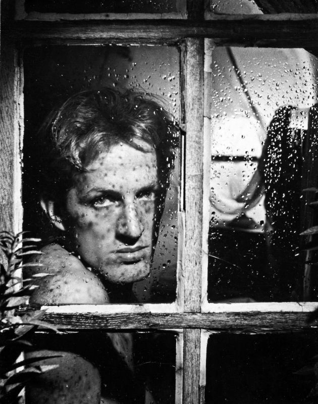 Herbert_Tobias_1952.jpg