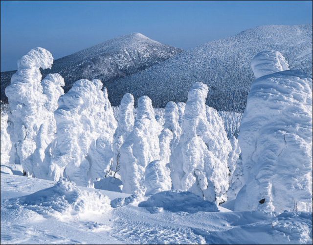 Japanese_frost_covered_snowmonsters04.jpg