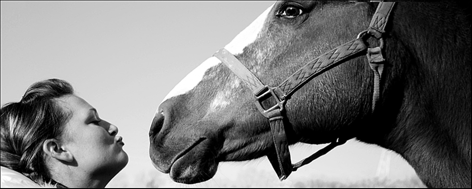 kaeledyr_fotograf_960x385.png